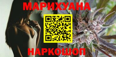шишки Будённовск