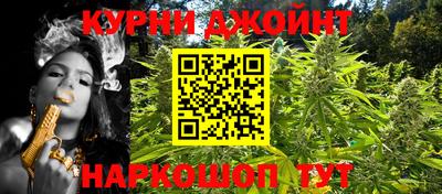 шишки Будённовск